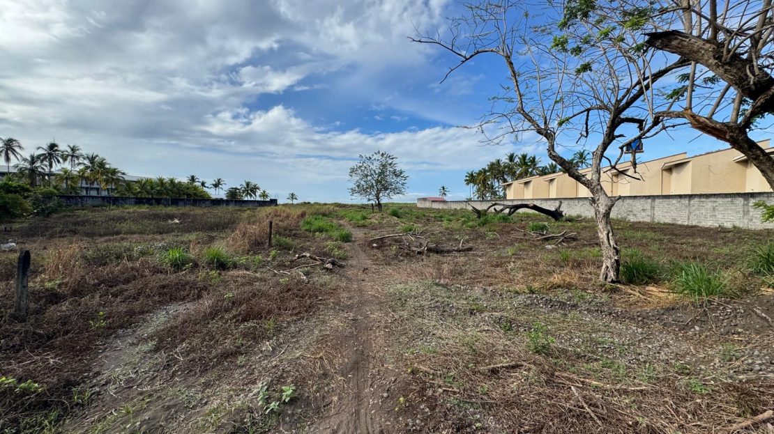 Open land and trees on the Puntarenas property